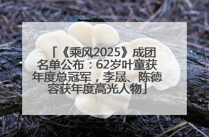 《乘风2025》成团名单公布：62岁叶童获年度总冠军，李晟、陈德容获年度高光人物