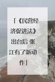 《民营经济促进法》出台后 张江有了新动作