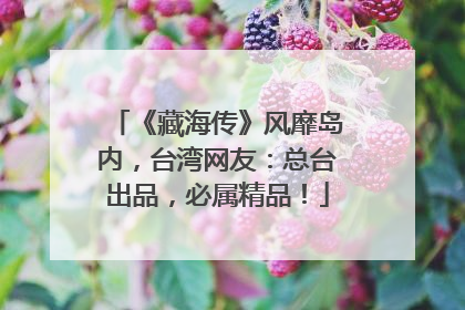 《藏海传》风靡岛内，台湾网友：总台出品，必属精品！