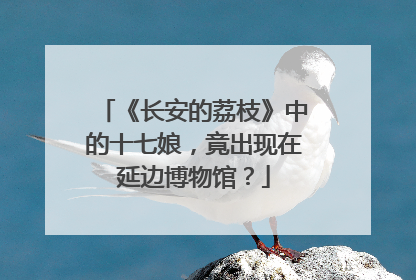 《长安的荔枝》中的十七娘，竟出现在延边博物馆？