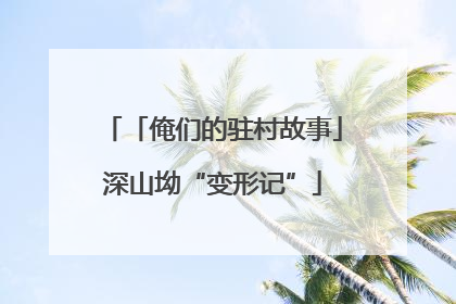 「俺们的驻村故事」深山坳“变形记”