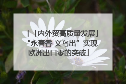 「内外贸高质量发展」“永春香 义乌出”实现欧洲出口零的突破