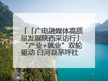 「广电融媒体高质量发展陕西采访行」“产业+就业”双轮驱动 白河县茅坪社区打造易地搬迁后扶新样本