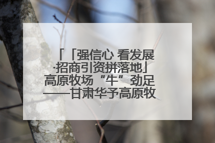 「强信心 看发展·招商引资拼落地」高原牧场“牛”劲足——甘肃华予高原牧场高标准奶牛肉牛养殖项目一线见闻