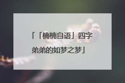 「楠楠自语」四字弟弟的如梦之梦