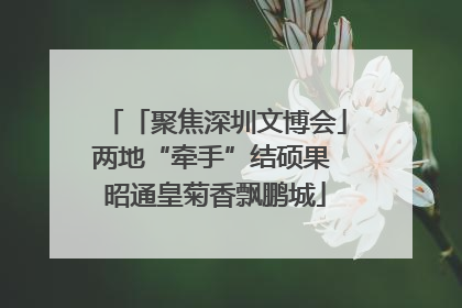 「聚焦深圳文博会」两地“牵手”结硕果 昭通皇菊香飘鹏城