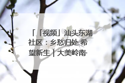 「视频」汕头东湖社区：乡愁归处 希望新生｜大美岭南·百村焕新记
