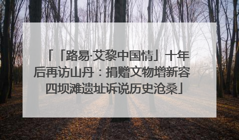 「路易·艾黎中国情」十年后再访山丹：捐赠文物增新容 四坝滩遗址诉说历史沧桑