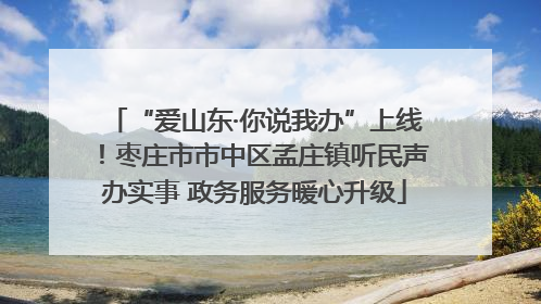 “爱山东·你说我办”上线！枣庄市市中区孟庄镇听民声办实事 政务服务暖心升级