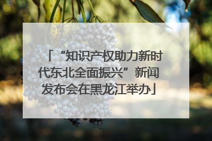 “知识产权助力新时代东北全面振兴”新闻发布会在黑龙江举办