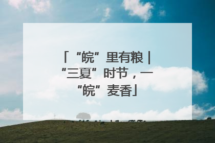 “皖”里有粮｜“三夏”时节，一“皖”麦香