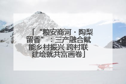 “粮安商河・陶梨留香”：三产融合赋能乡村振兴 跨村联建绘就共富画卷
