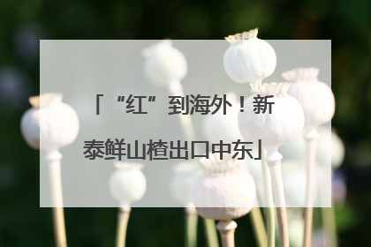 “红”到海外！新泰鲜山楂出口中东