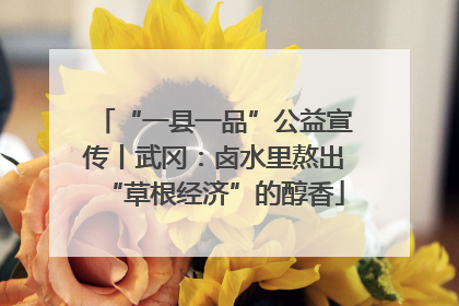 “一县一品”公益宣传丨武冈：卤水里熬出“草根经济”的醇香