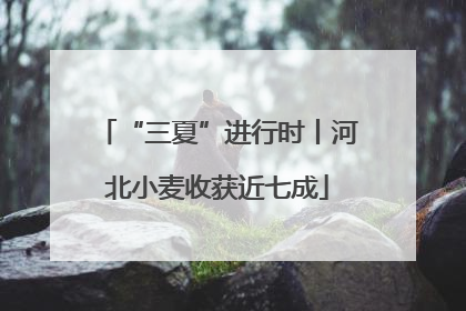 “三夏”进行时丨河北小麦收获近七成