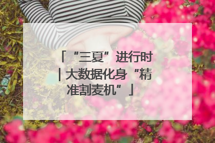 “三夏”进行时｜大数据化身“精准割麦机”