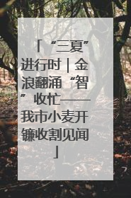 “三夏”进行时｜金浪翻涌“智”收忙——我市小麦开镰收割见闻