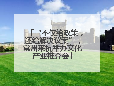 “不仅给政策，还给解决议案”，常州来杭举办文化产业推介会