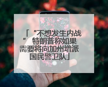 “不想发生内战” 特朗普称如果需要将向加州增派国民警卫队