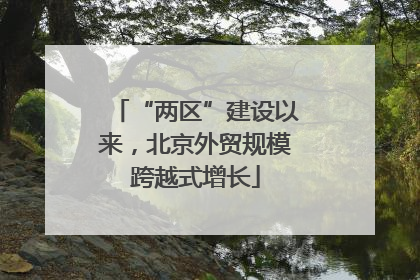 “两区”建设以来，北京外贸规模跨越式增长