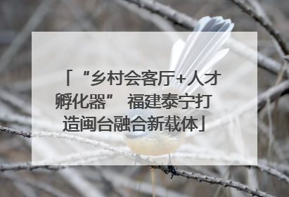 “乡村会客厅+人才孵化器” 福建泰宁打造闽台融合新载体