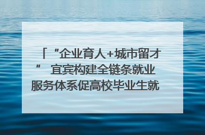 “企业育人+城市留才” 宜宾构建全链条就业服务体系促高校毕业生就业｜您牵挂的四川