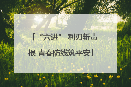 “六进” 利刃斩毒根 青春防线筑平安