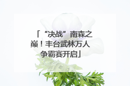 “决战”南森之巅！丰台武林万人争霸赛开启