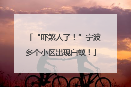 “吓煞人了！”宁波多个小区出现白蚁！