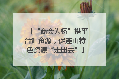 “商会为桥”搭平台汇资源，促连山特色资源“走出去”