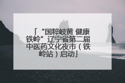 “国粹岐黄 健康铁岭”辽宁省第二届中医药文化夜市（铁岭站）启动