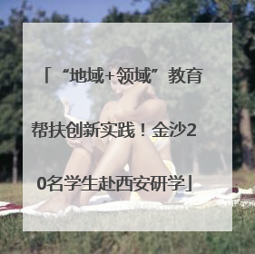 “地域+领域”教育帮扶创新实践！金沙20名学生赴西安研学
