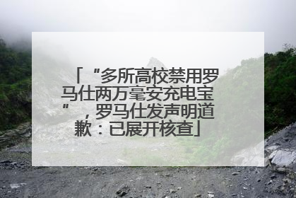 “多所高校禁用罗马仕两万毫安充电宝”，罗马仕发声明道歉：已展开核查