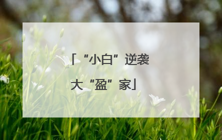 “小白”逆袭大“盈”家