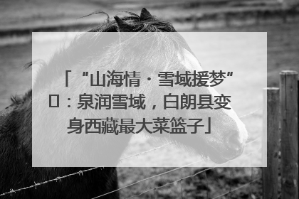 “山海情・雪域援梦”⑪：泉润雪域，白朗县变身西藏最大菜篮子