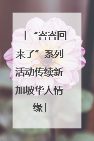 “峇峇回来了”系列活动传续新加坡华人情缘