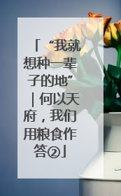 “我就想种一辈子的地”｜何以天府，我们用粮食作答②