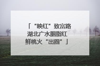 “映红”致富路 湖北广水胭脂红鲜桃火“出圈”