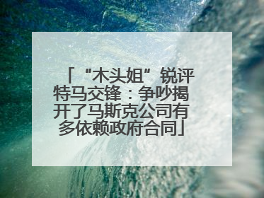 “木头姐”锐评特马交锋：争吵揭开了马斯克公司有多依赖政府合同