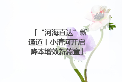 “河海直达”新通道丨小清河开启降本增效新篇章