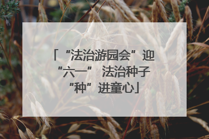 “法治游园会”迎“六一” 法治种子“种”进童心