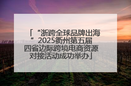 “浙跨全球品牌出海”2025衢州第五届四省边际跨境电商资源对接活动成功举办