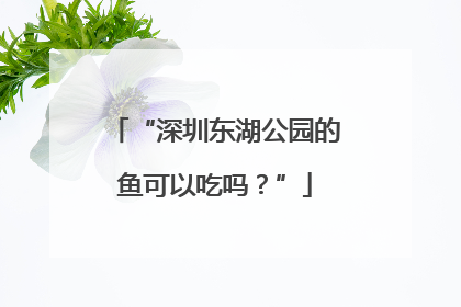 “深圳东湖公园的鱼可以吃吗？”