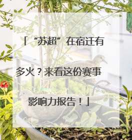 “苏超”在宿迁有多火？来看这份赛事影响力报告！