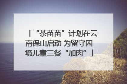 “茶苗苗”计划在云南保山启动 为留守困境儿童三餐“加肉”