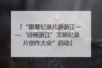 “跟着纪录片游浙江——‘诗画浙江’文旅纪录片创作大会”启动