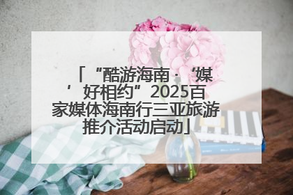 “酷游海南 ·‘媒’好相约”2025百家媒体海南行三亚旅游推介活动启动
