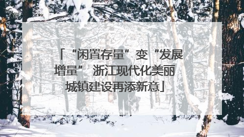 “闲置存量”变“发展增量” 浙江现代化美丽城镇建设再添新意