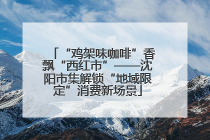 “鸡架味咖啡”香飘“西红市”——沈阳市集解锁“地域限定”消费新场景