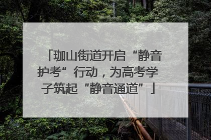 珈山街道开启“静音护考”行动，为高考学子筑起“静音通道”
